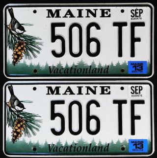 Maine Chickadee License Plate Set/pair 506 Tf - 2013 -