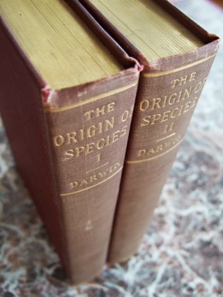 1899 The Origin Of The Species Final 6th Edition Charles Darwin,  2 Vols Appleton