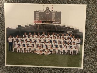 1984 Chicago Cubs Team Unsigned 8x10 Photo Baseball