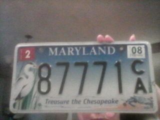 2008 Maryland Treasure The Chesapeake License Plate
