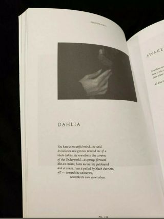 Ophelia Wears Black poetry book Segovia Amil Occult Gothic 2