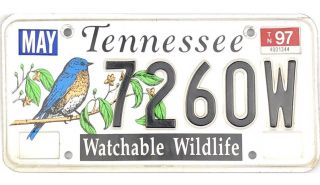 1997 Tennessee Watchable Wildlife License Plate 7260w Birdwatching