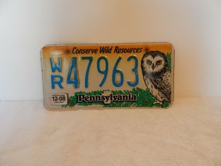 Pennsylvania (pa) License Plate.  Conserve Wild Resources.  Owl