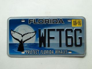 Florida Protect Florida Whales License Plate