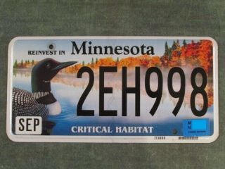 Minnesota Critical Habitat License Plate 2eh998 Specialty Wildlife Loon Autumn