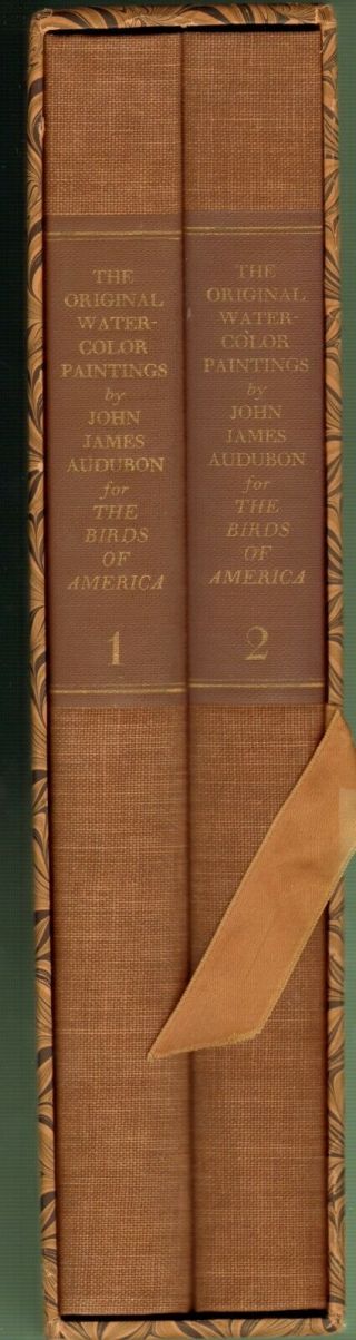 2v The Water - Color Paintings By John James Audubon For Birds Of America