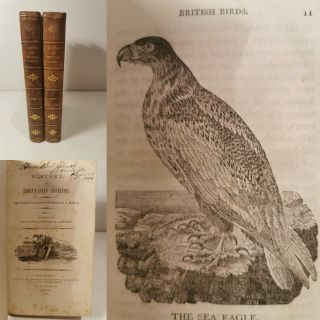 History Of British Birds.  Thomas Bewick.  1797 - 1804.  First Edition Set.  2 Vols