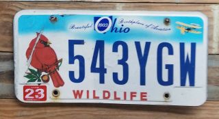 Ohio Wildlife Cardinal Clark County License Plate 543ygw - Flat