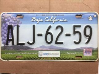 Baja California Mexico Grape License Plate Expired Graphic Alj6259