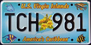 Us Virgin Islands " St.  Thomas Caribbean Wildlife Fish " Specialty License Plate