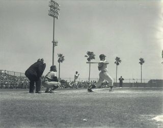 1960 Ny Yankees Mickey Mantle Spring Training Photo Negative 2 By Paulson