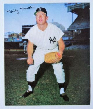 1964 Rawlings Glove Photo Mickey Mantle Yankees - Flash