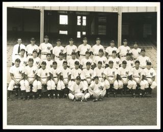 Yogi Berra Rookie 1947 Yankees Team Photo Type 1 Photo Ws Champs