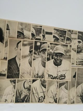 1947 Brooklyn Dodgers Team Issue Photo Set.  Jackie Robinson Mlb