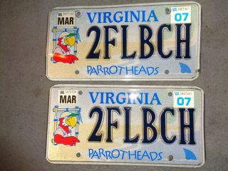 Va.  Virginia Parrotheads License Plate Set Parrot Head 2flbch