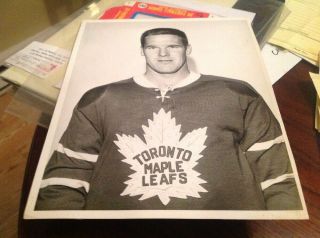 Tim Horton 1960s Toronto Maple Leafs Nhl Hockey Photo Horton 