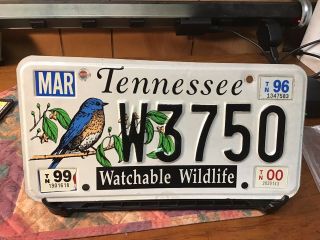 1996 Tennessee Watchable Wildlife/bluebird License Plate