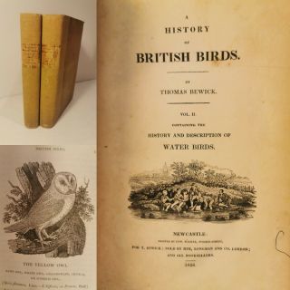 History Of British Birds.  Thomas Bewick.  1826.  2 Vols Illustrated.  Engravings