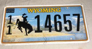 Wyoming Bucking Horse Cowboy Wy Graphic License Plate