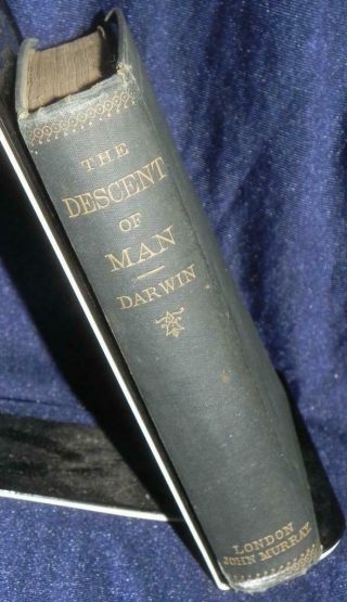 The Descent of Man Charles Darwin 1890 29th Thousand 2