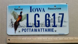 License Plate,  Iowa,  Natural Resources,  Pheasant,  Lg 617