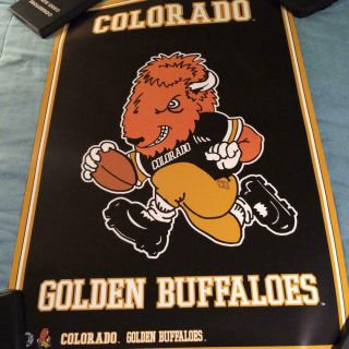 1991 Ncaa College University Of Colorado Golden Buffaloes Poster 24 " X 36 " Rolled