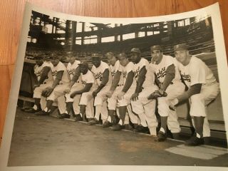 Incredible 1950s Brooklyn Dodgers Team Wire Photo Jackie Robinson,  Snider