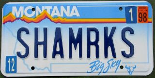 Luck Of The Irish When You Own 1998 Montana Sky Blue License Plate Shamrks