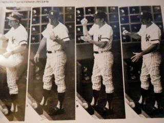 Billy Martin Photo 1976 Dugout One Of A Kind