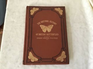 Antique Book The Natural History Of British Butterflies By Edward Newman 1869