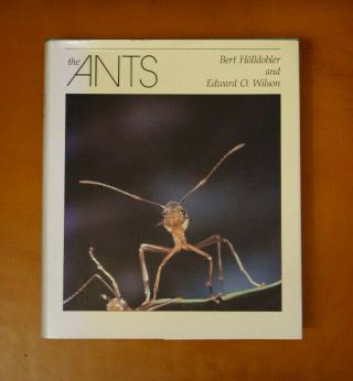 The Ants By Edward O.  Wilson And Bert Hölldobler 1990 Entomology Very Good