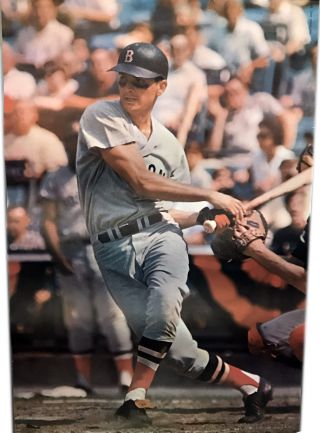 1968 Tony Conigliaro Boston Red Sox Sports Illustrated Baseball 24x36 Poster