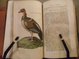 1815.  The Natural History Of Birds.  First Volume.  Stunning Colour Plates