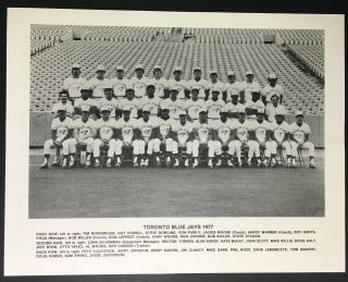 1977 Toronto Blue Jays Inaugural Season Team Issued Photo Mlb Baseball Canada