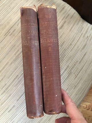Charles Darwin— The Descent Of Man — 2 Volumes 1872