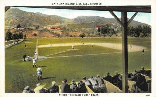 Chicago Cubs Spring Training Catalina Island Baseball Grounds Postcard