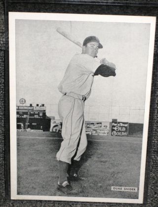 Duke Snider Brooklyn Dodgers 1954 All - Star Photo Pack Picture Nrmt Rare