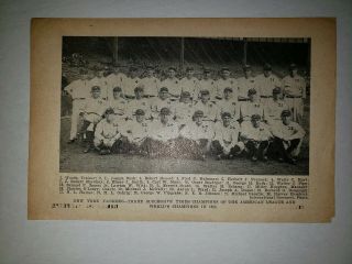 Yankees 1923 Team Picture Babe Ruth Lou Gehrig Bullet Joe Bush Wally Pipp