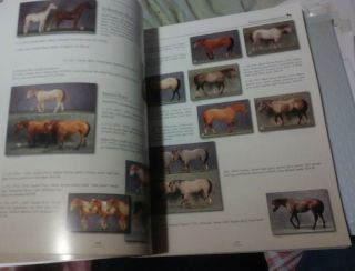 Breyer Animal Collector ' s Guide: Identification and Values,  5th Edition 3