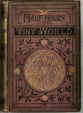Half Hours In The Tiny World - Wonders Of Insect Life (1875 H/b First Edition)