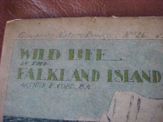 1910 FIRST EDITION BOOK : WILDLIFE IN THE FALKLAND ISLANDS ARTHUR F.  COBB 2