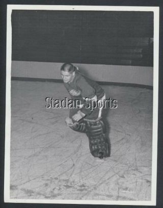 Terry Sawchuk - Detroit Red Wings Press Photo 1957 Vintage Nhl Hockey