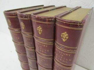 A History of British Birds by W.  Yarrell - Complete Four Volume Set (1871 - 74) 2