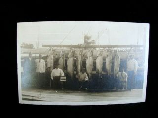 Antique Rppc 1911 Photo Miami Florida Huge Deep Sea Fishing Catch On The Pier