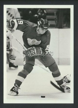 Steve Yzerman - Detroit Red Wings 1983 Nhl Hockey Press Photo - Sporting News