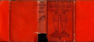 The Pecks In Camp,  A.  T.  Dudley,  Lothrup,  Lee & Shepard Co.  1911 Dj 1st