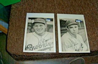 A 1941 Brooklyn Dodger Picture Pack Photos