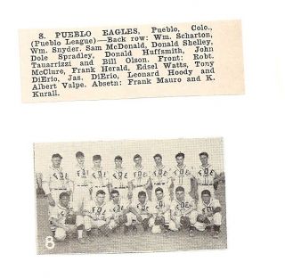 Pueblo Eagles Colorado 1950 Baseball Team Picture