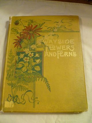 Wayside Flowers And Ferns By Rev.  A.  B.  Hervey 1887 10 Color Plates