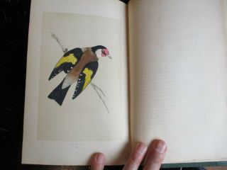 Birds - History Of British Birds,  Volume Ii,  1860,  60 Hand Colored Plates